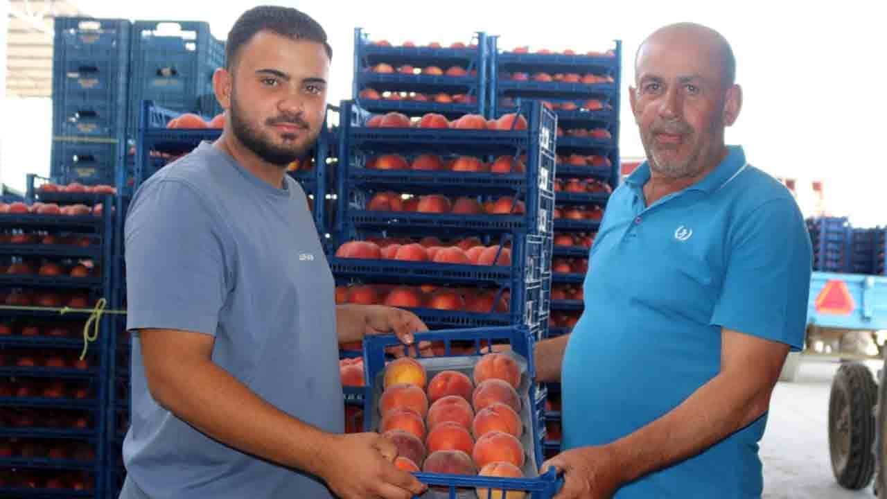 Foto - Şeftali fiyatı bir günde yarı yarıya çakıldı!