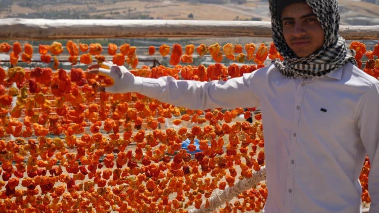 Foto - Sıcak hava onlara yaradı Bütün kent kırmızı ve yeşile büründü