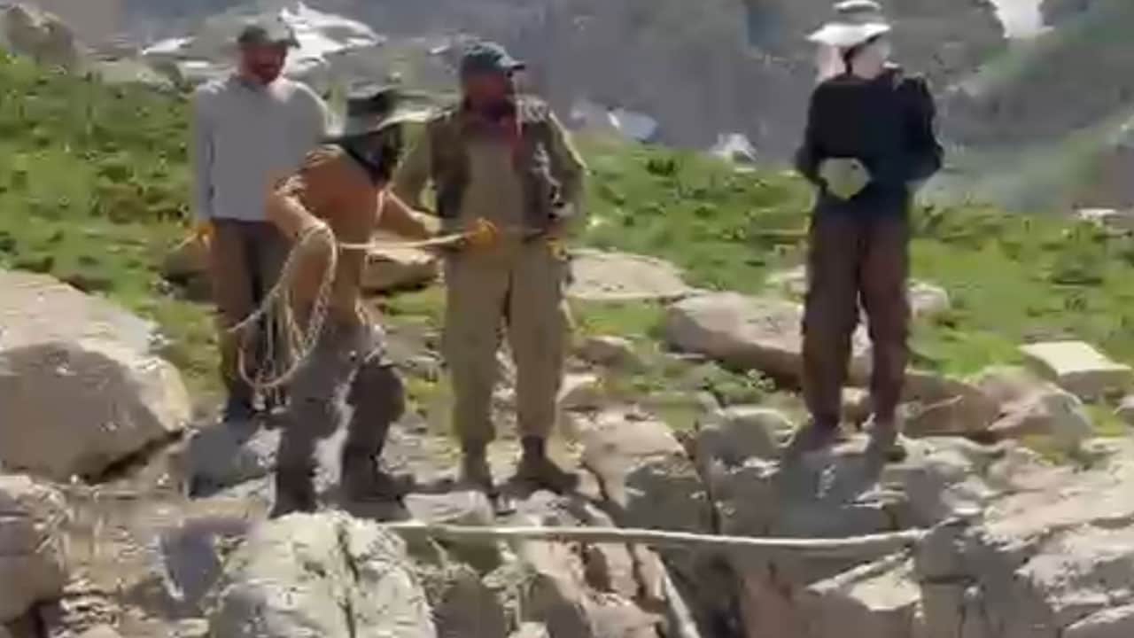 Foto - Sigortalı buzağı seferberliği! Ölüsünü uçurumdan tehlikeli bir operasyonla çıkardılar