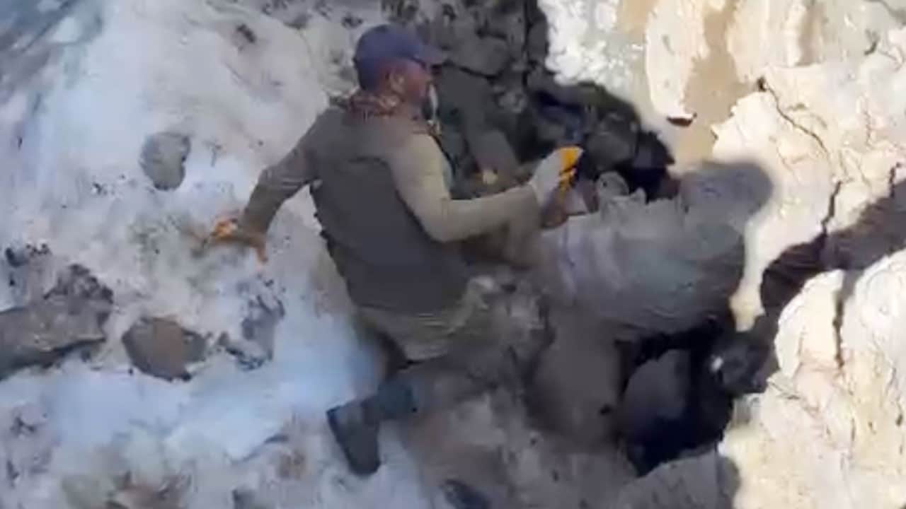 Foto - Sigortalı buzağı seferberliği! Ölüsünü uçurumdan tehlikeli bir operasyonla çıkardılar