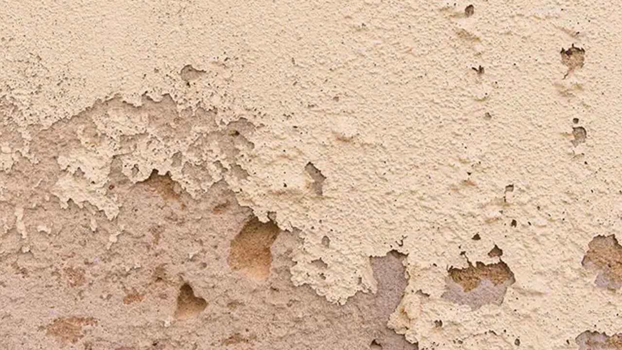 Soyulup dökülen duvar boyasının rengi sinyalmiş: Bu yollar nedeniyle değişmiş