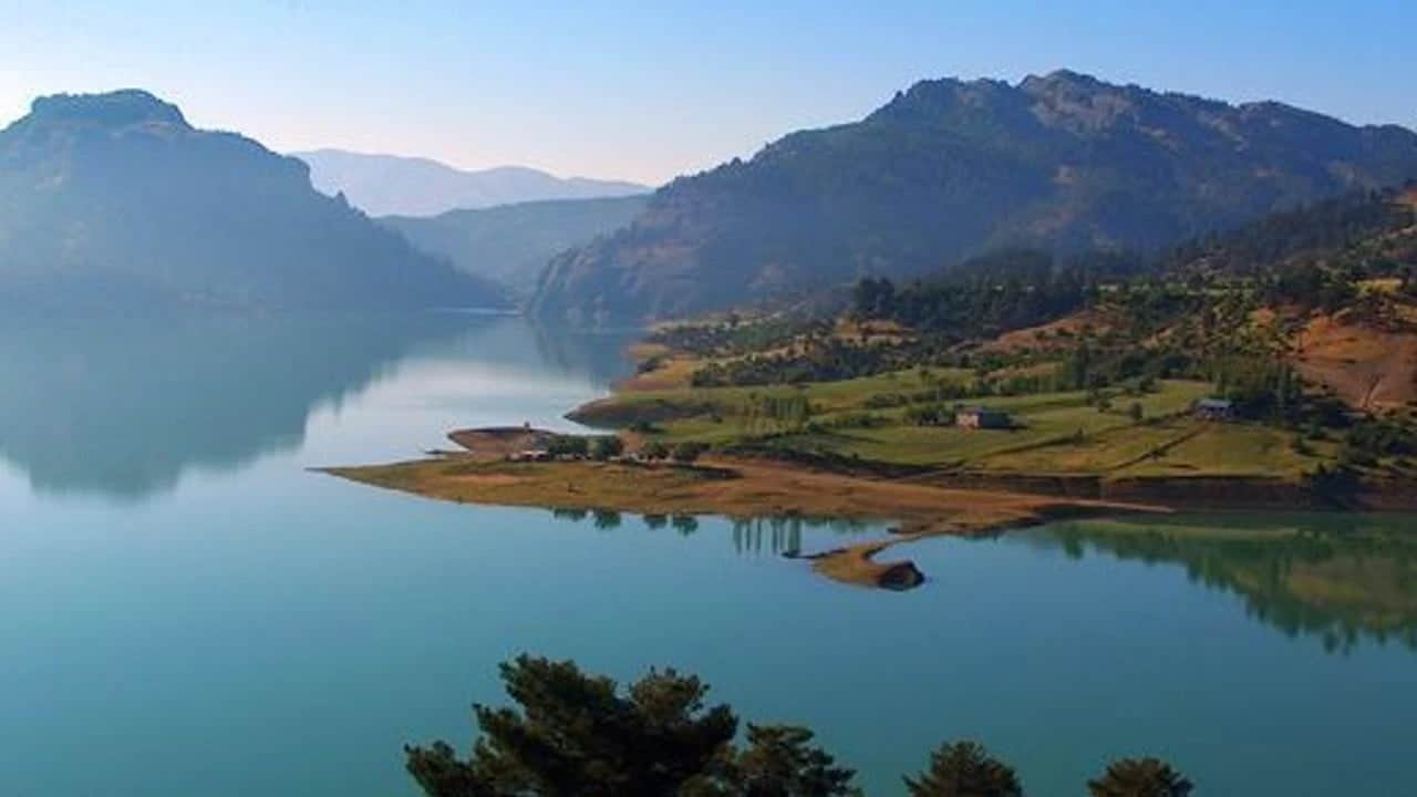 Foto - Su değil zehir içiyorlar!