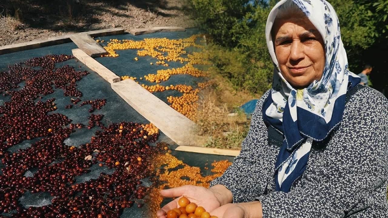 Foto - Talebi artan Konya kirazı dalında bırakılıyor: Avrupa'nın birçok ülkesinde "Türk kirazı" dikkat çekti