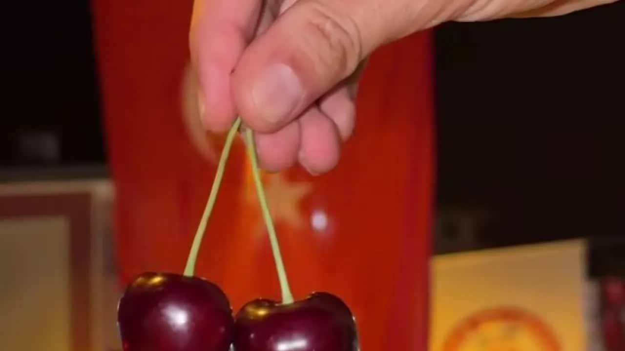 Foto - Talebi artan Konya kirazı dalında bırakılıyor: Avrupa'nın birçok ülkesinde "Türk kirazı" dikkat çekti