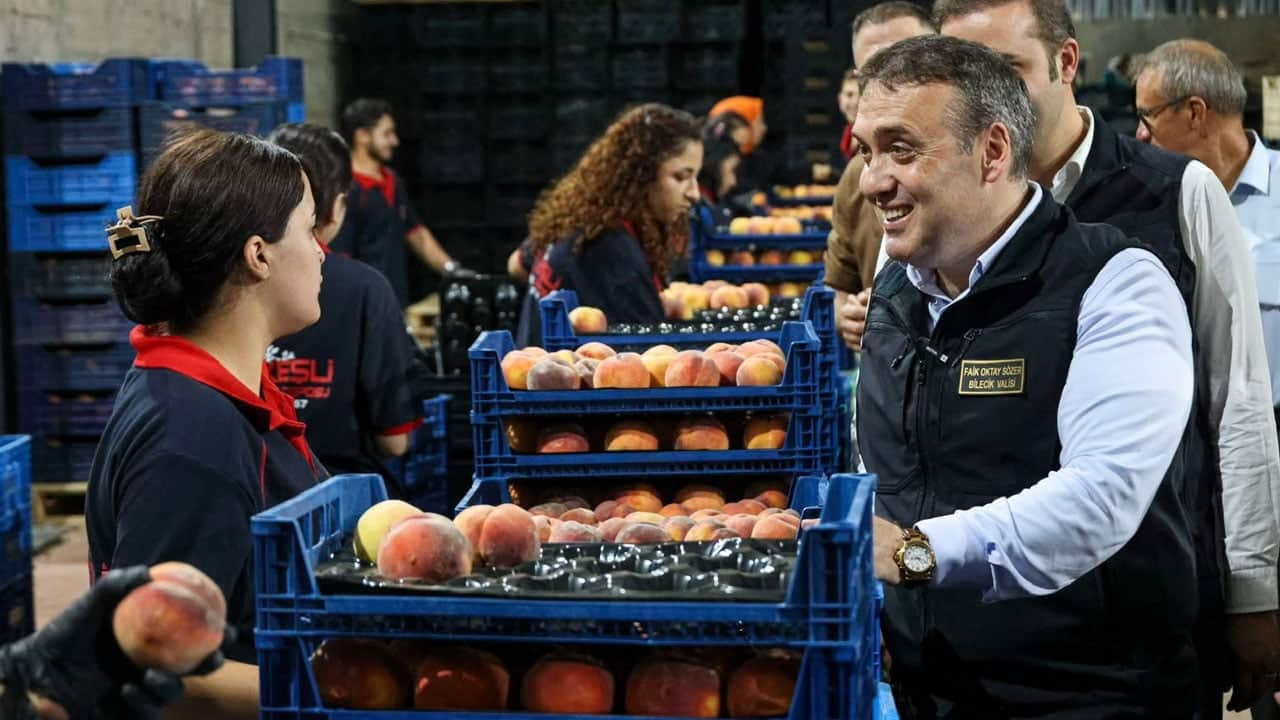 Tamamı ihraç ediliyor! Dalından toplanır toplanmaz yurt dışına gidiyor