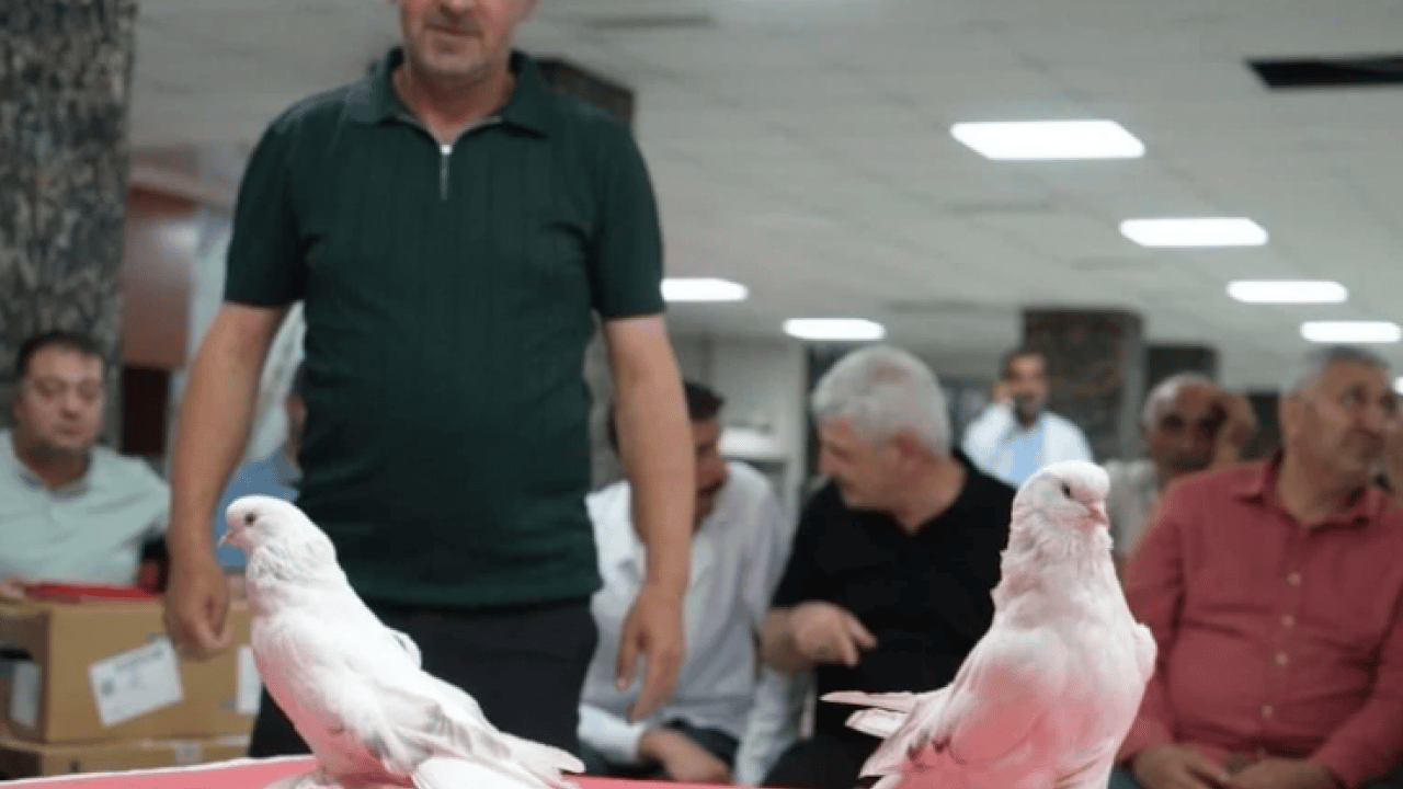 Foto - Hobiden uluslarası alana: Tanesini 5 milyon TL'den satıyorlar!