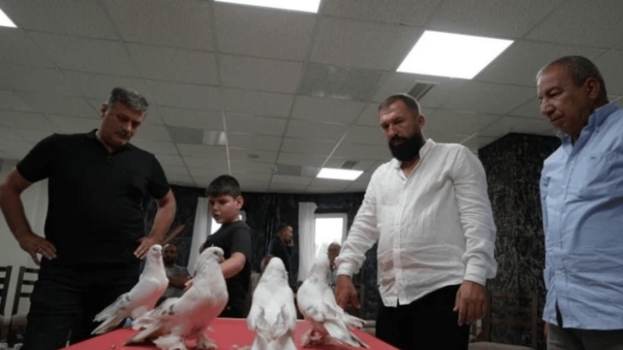 Foto - Hobiden uluslarası alana: Tanesini 5 milyon TL'den satıyorlar!