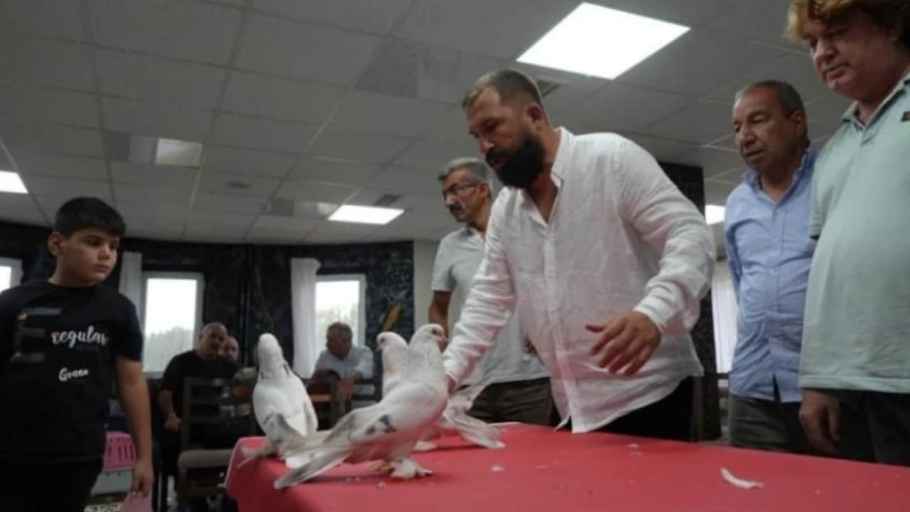 Foto - Hobiden uluslarası alana: Tanesini 5 milyon TL'den satıyorlar!