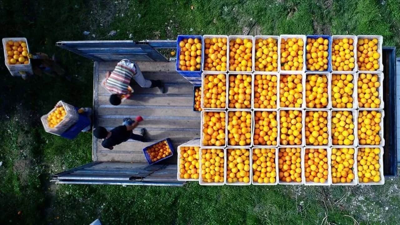 Foto - "Tarımı bitirdiler" diyen güruha tokat gibi gerçek Meyve sebze ihracatı ilk kez rekor kırdı