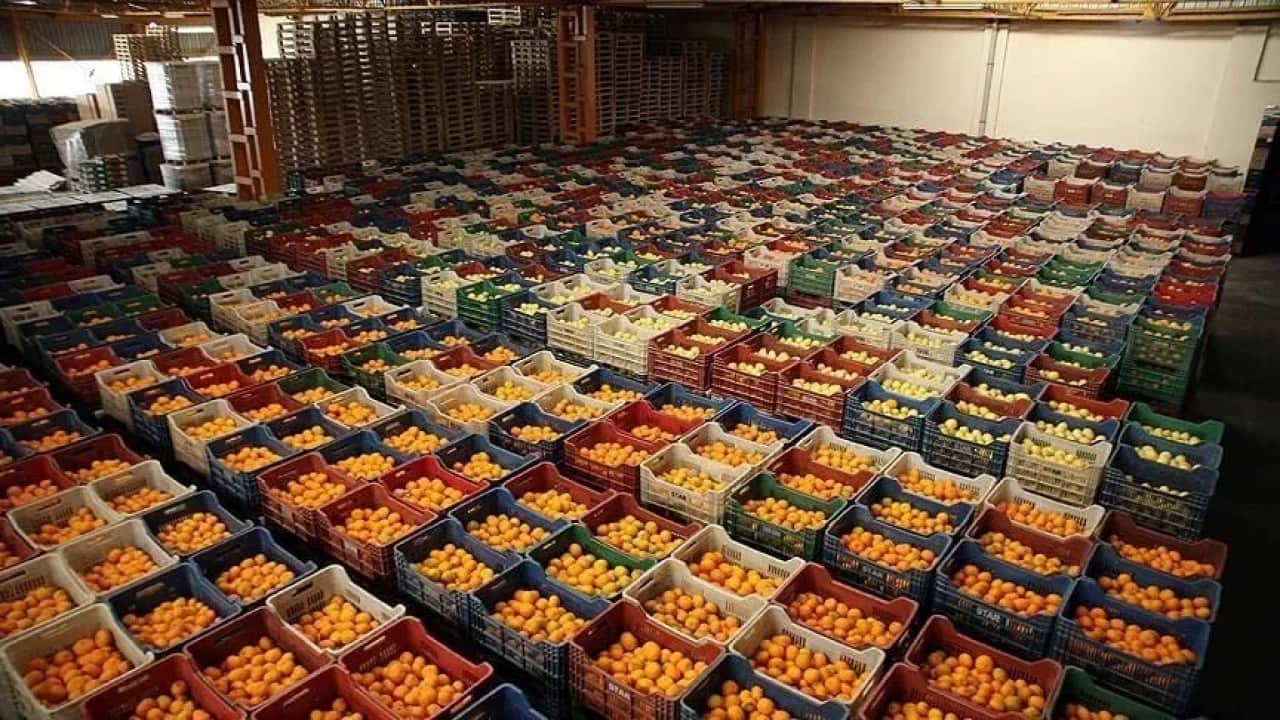 Foto - "Tarımı bitirdiler" diyen güruha tokat gibi gerçek Meyve sebze ihracatı ilk kez rekor kırdı