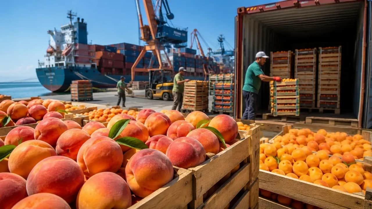Foto - "Tarımı bitirdiler" diyen güruha tokat gibi gerçek Meyve sebze ihracatı ilk kez rekor kırdı