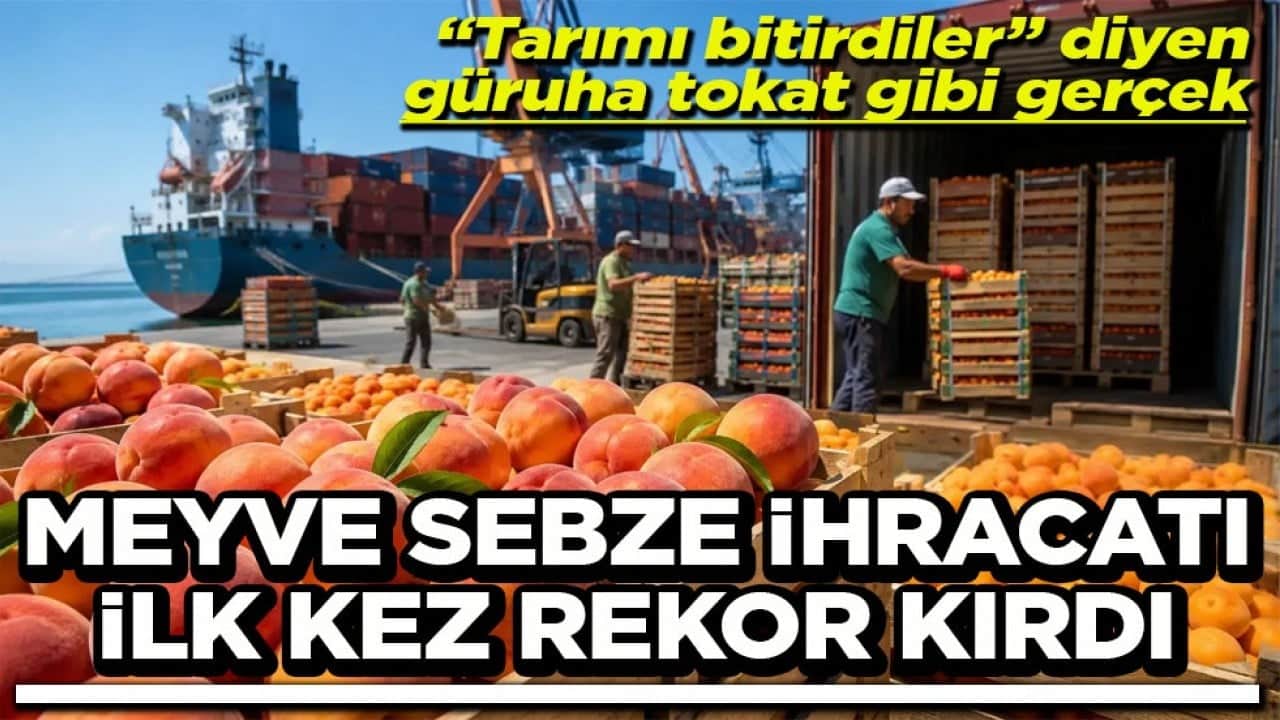 "Tarımı bitirdiler" diyen güruha tokat gibi gerçek Meyve sebze ihracatı ilk kez rekor kırdı