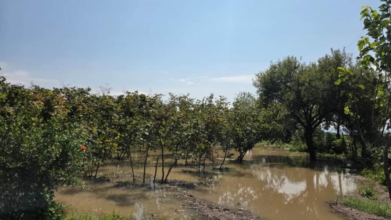 Foto - Tarla ve evler sular altında kaldı Türkü gerçek oldu Çarşamba’yı sel aldı