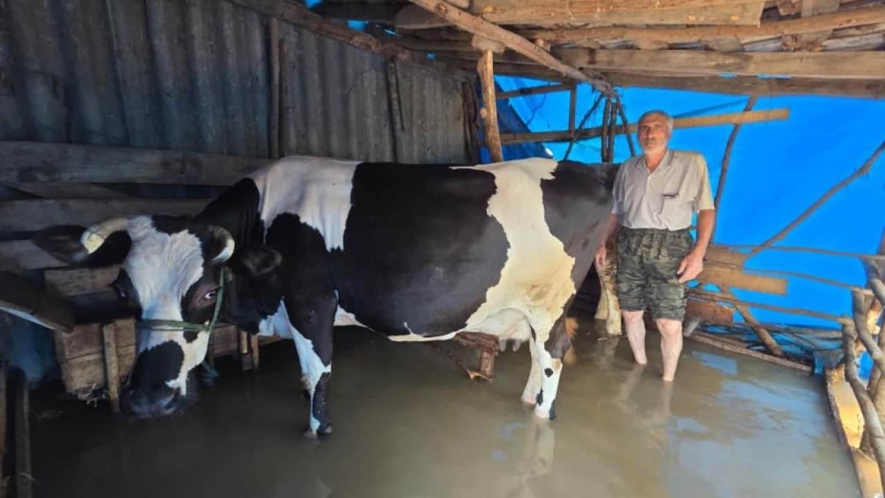 Foto - Tarla ve evler sular altında kaldı Türkü gerçek oldu Çarşamba’yı sel aldı