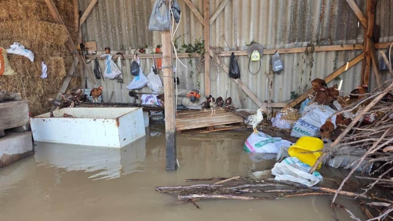 Foto - Tarla ve evler sular altında kaldı Türkü gerçek oldu Çarşamba’yı sel aldı