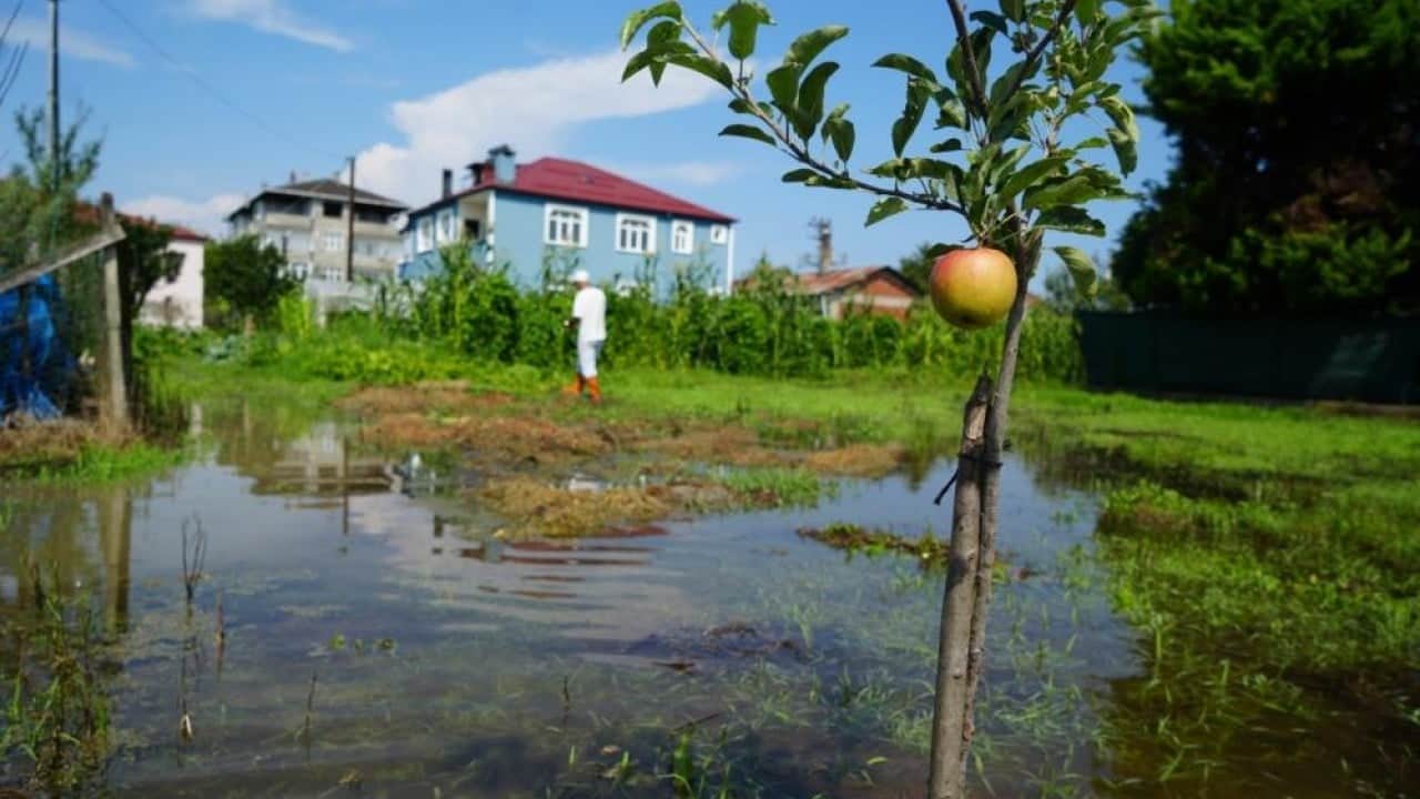 Foto - Tarla ve evler sular altında kaldı Türkü gerçek oldu Çarşamba’yı sel aldı