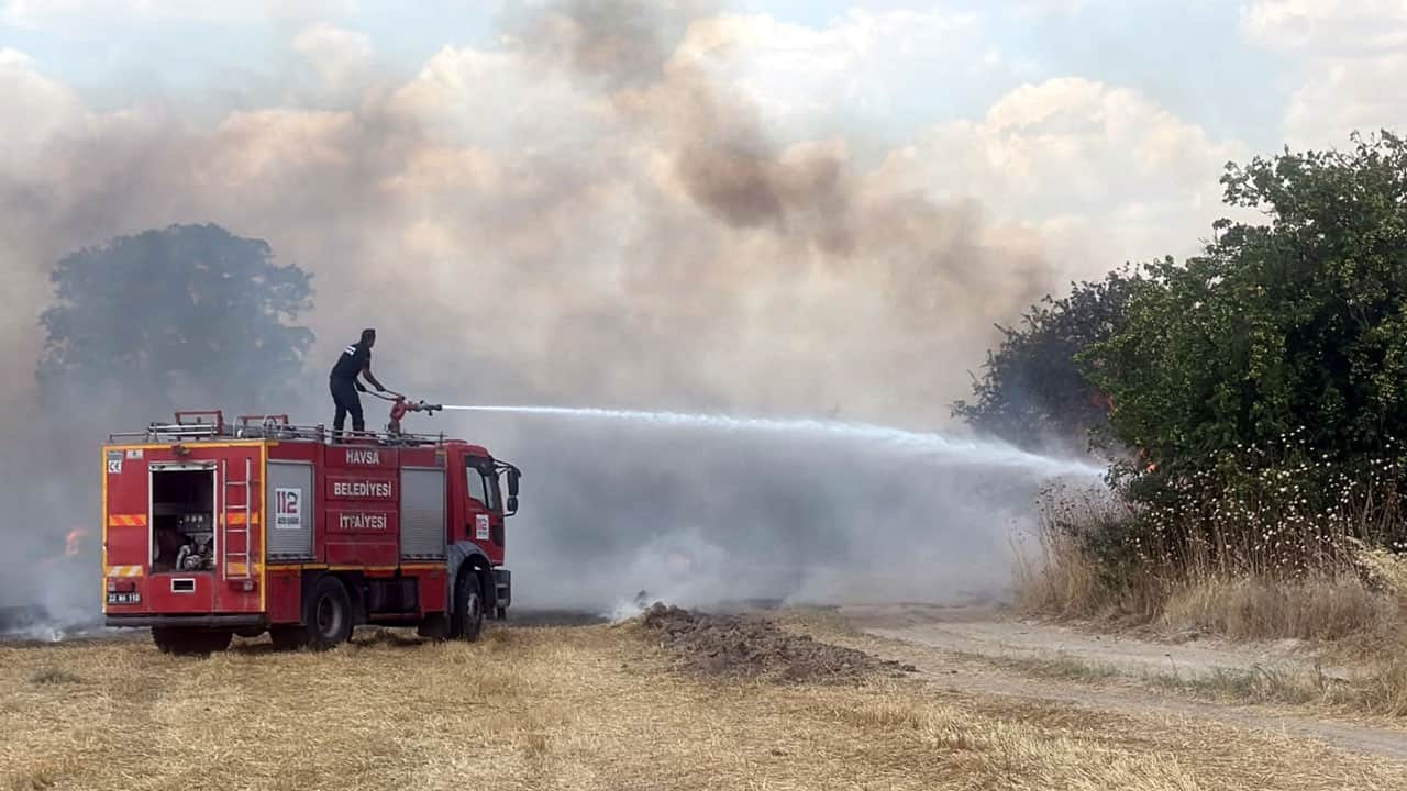 Foto - Tek bir serçe kuşu 1500 dönüm tarlayı küle çevirdi