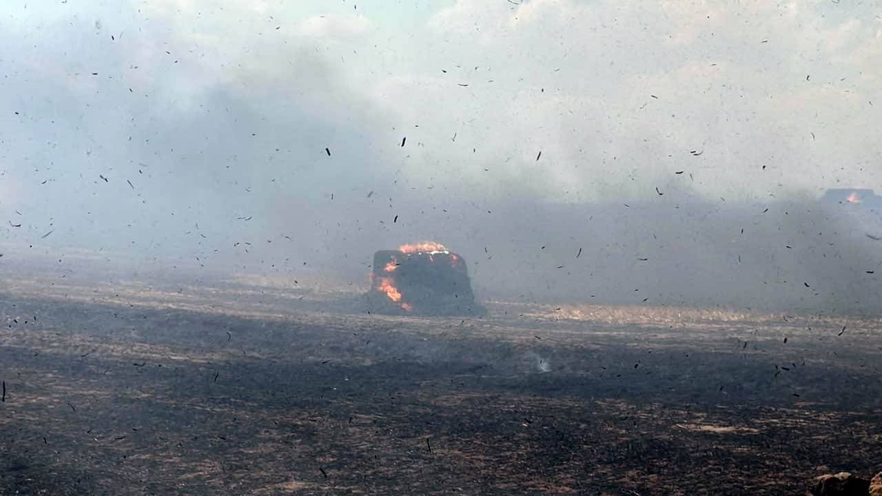 Foto - Tek bir serçe kuşu 1500 dönüm tarlayı küle çevirdi