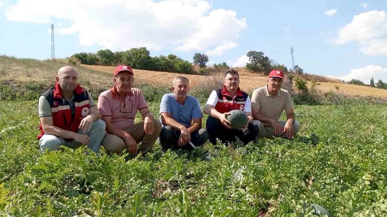 Foto - Tekirdağ karpuzu tezgahlar için gün sayıyor!