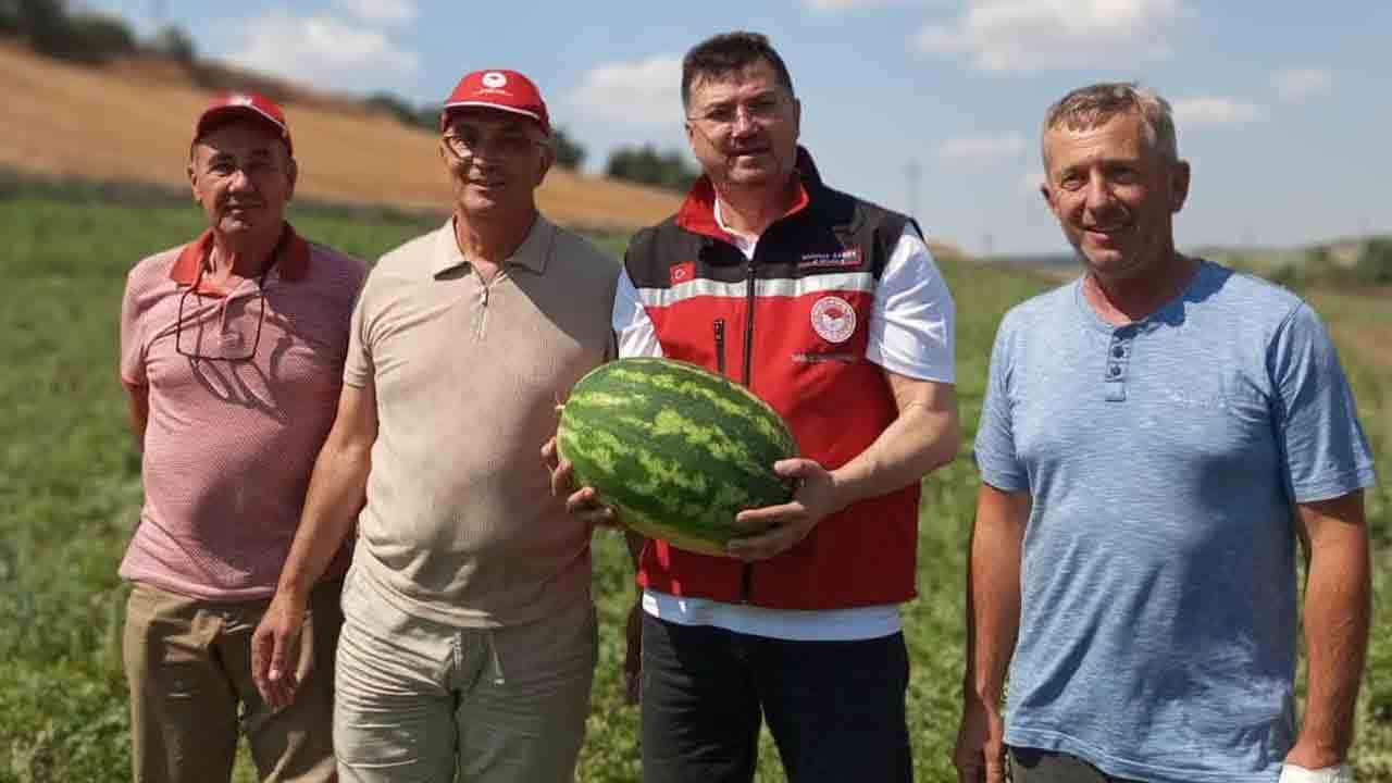 Foto - Tekirdağ karpuzu tezgahlar için gün sayıyor!
