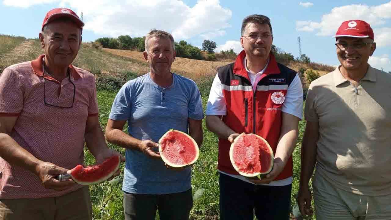 Tekirdağ karpuzu tezgahlar için gün sayıyor!