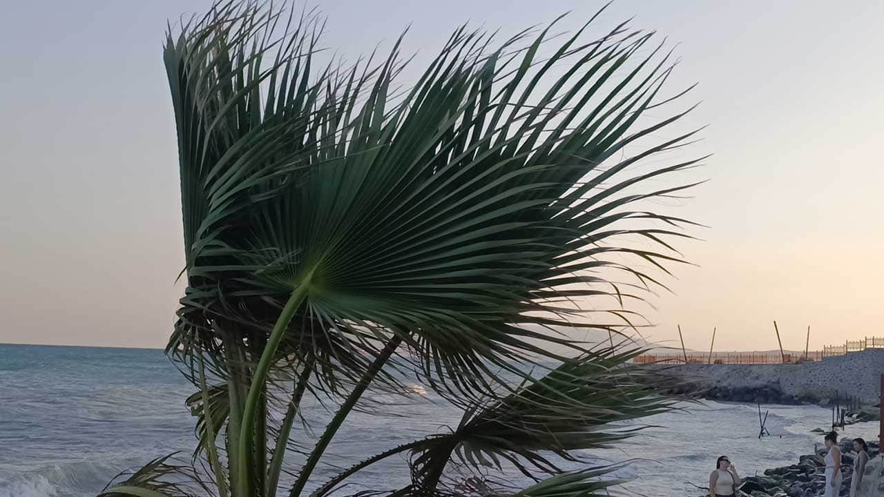 Foto - Tekirdağ'da poyraz fırtınası hayatı felç etti! Ağaçlar devrildi, sahil kesimi teyakkuza geçti!