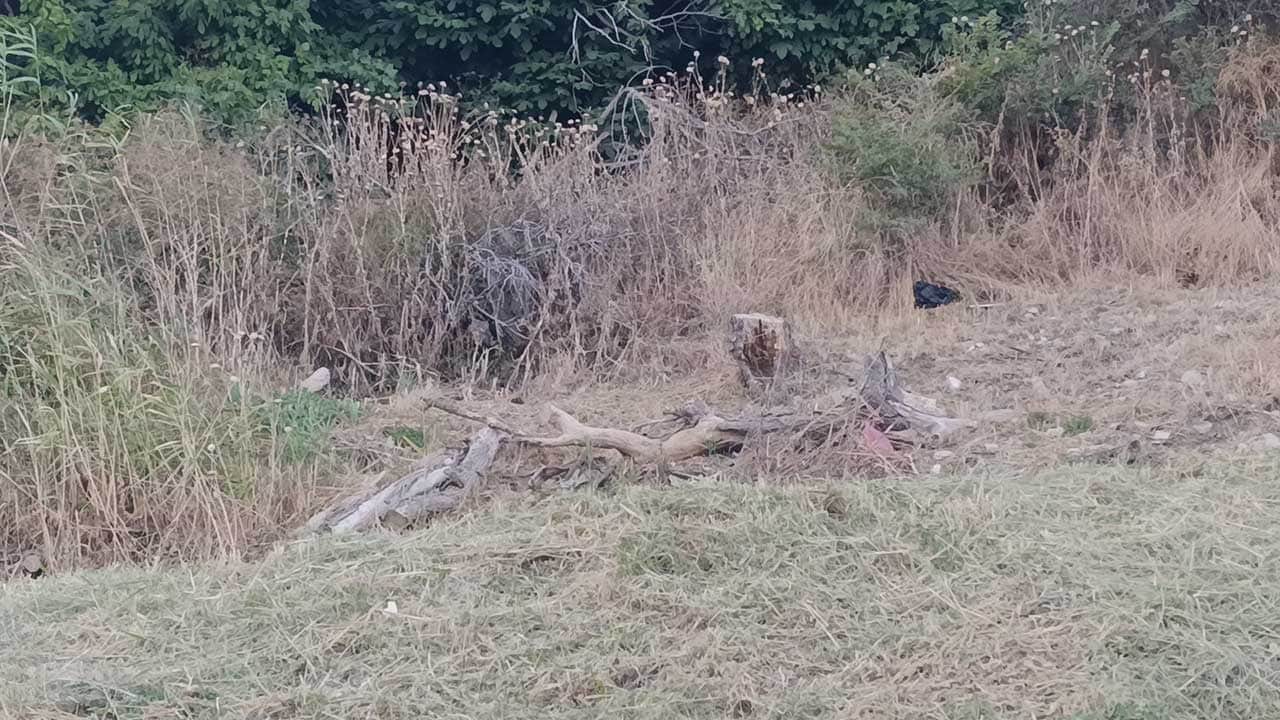 Foto - Tekirdağ'da poyraz fırtınası hayatı felç etti! Ağaçlar devrildi, sahil kesimi teyakkuza geçti!
