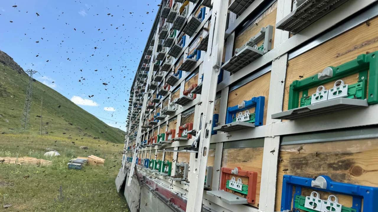 Foto - TIR dorsesini 8 katlı bal tesisine çevirdi! 340 kovandan 7 ton bal üretecek