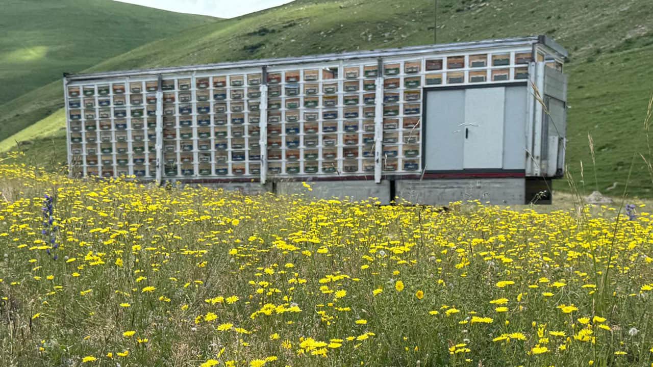 Foto - TIR dorsesini 8 katlı bal tesisine çevirdi! 340 kovandan 7 ton bal üretecek
