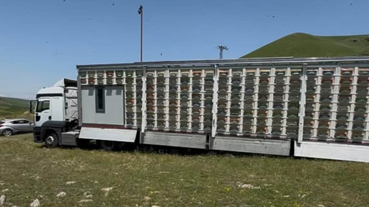 Foto - TIR dorsesini 8 katlı bal tesisine çevirdi! 340 kovandan 7 ton bal üretecek