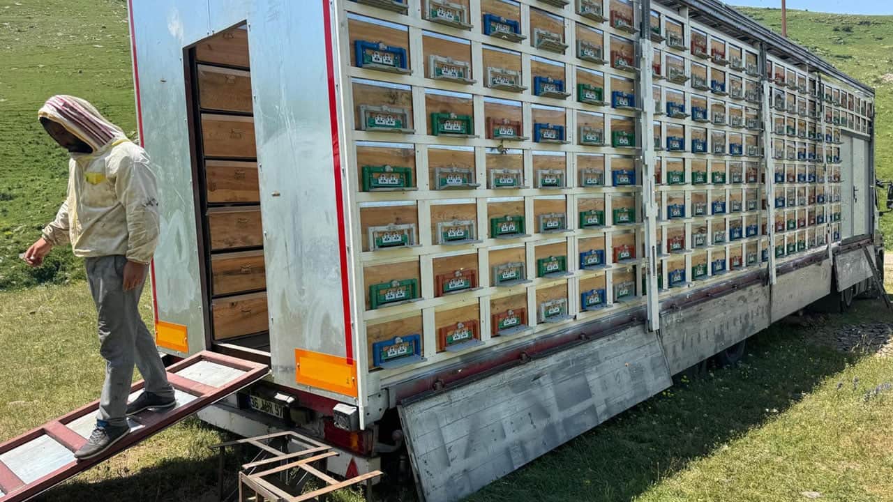 TIR dorsesini 8 katlı bal tesisine çevirdi! 340 kovandan 7 ton bal üretecek
