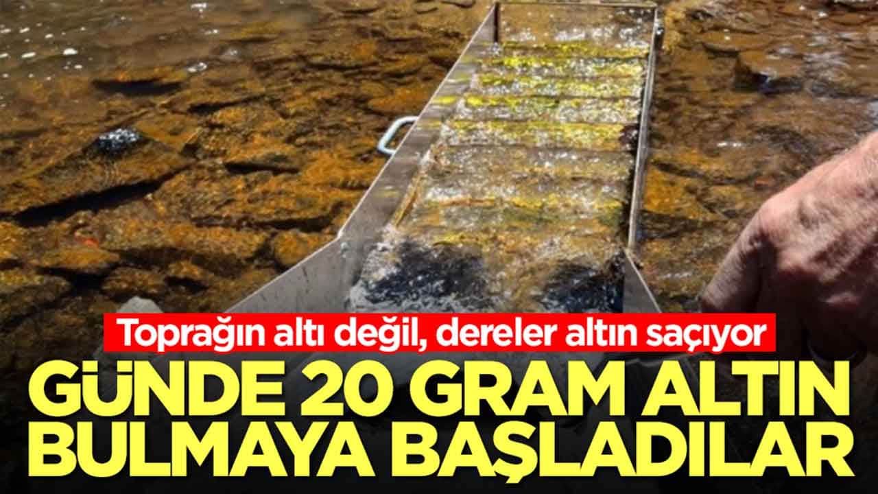 Toprağın altı değil, dereler altın saçıyor: Günde 20 gram altın bulmaya başladılar