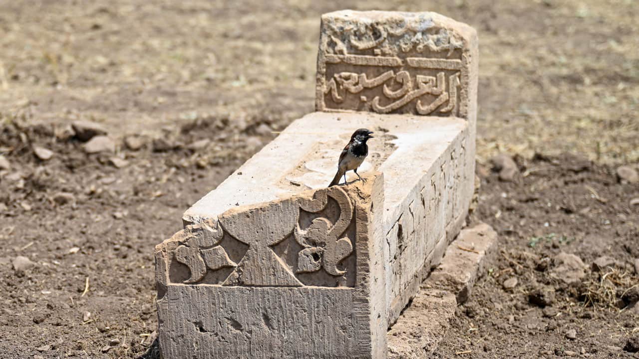 Foto - Toprağın kalbine neşter vuruyorlar! 1000’i aşkın Selçuklu mezar taşı gün yüzüne çıkıyor