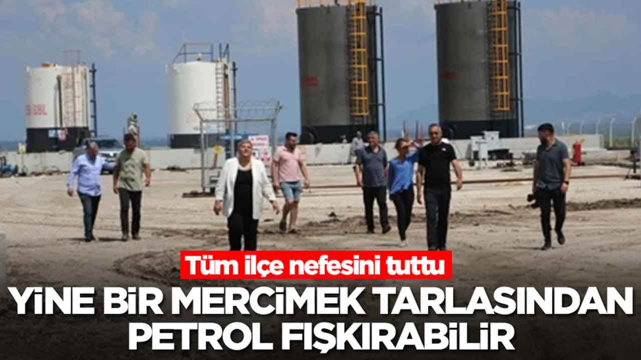 Tüm ilçe nefesini tuttu: Yine bir mercimek tarlasından petrol fışkırabilir