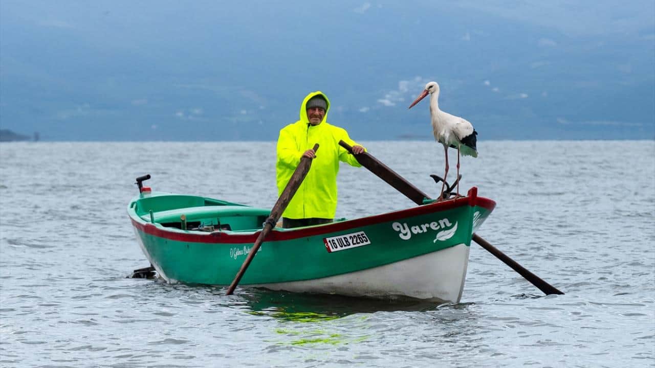Foto - Tüm Türkiye merakla bekliyordu! Yaren Leylek 15. yılda da göçüp geldi