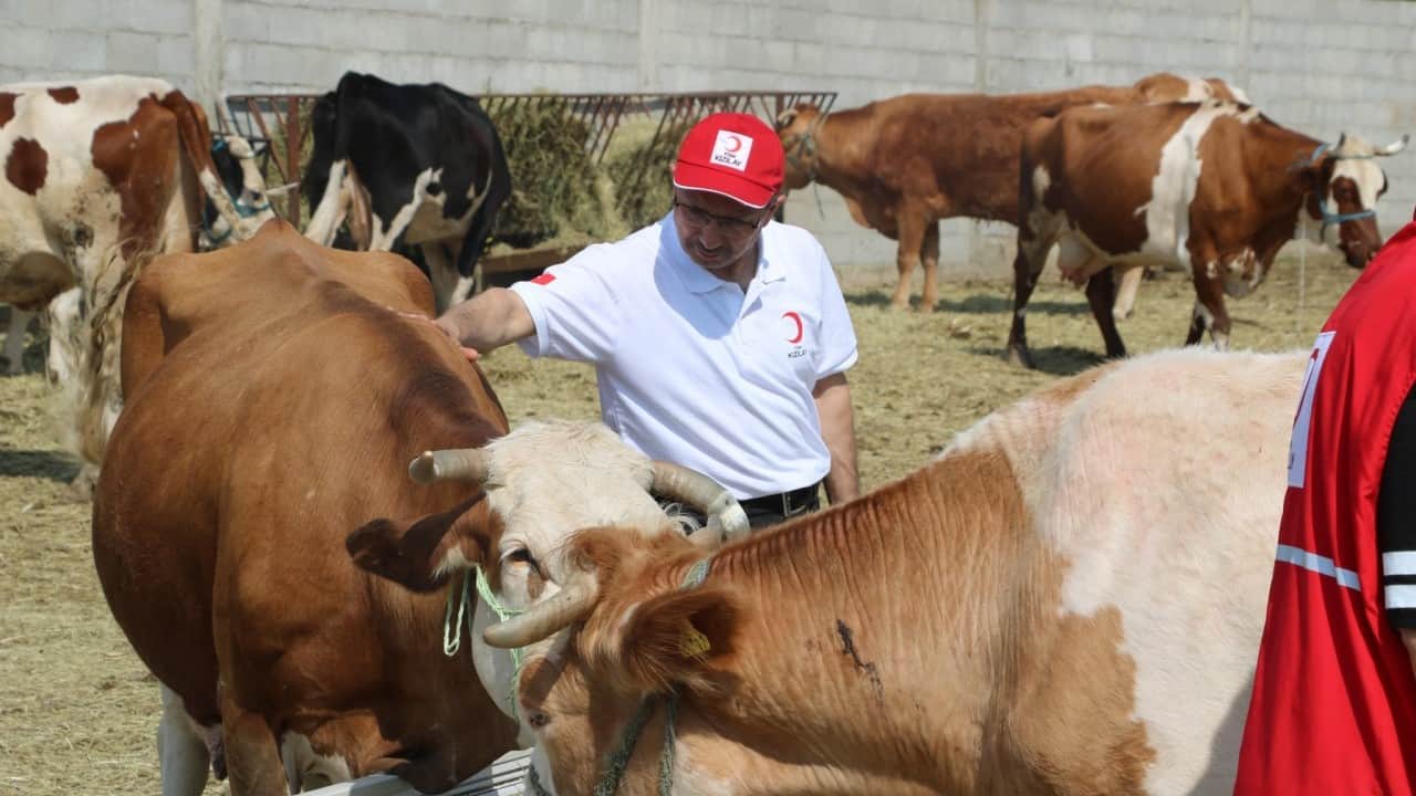 Foto - Türk Kızılay’dan kurban kesimi açıklaması