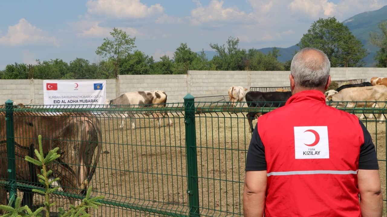 Foto - Türk Kızılay’dan kurban kesimi açıklaması