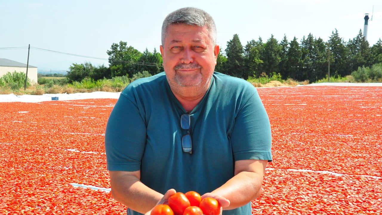 Foto - Türkiye'den 31 ülkeye gönderiliyor! Gediz Ovası kırmızı örtüyle kaplandı