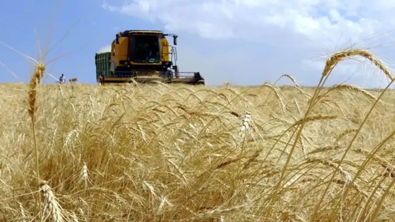 Foto - Türkiye'ye savaş açan ülke tarım arazilerini hedef almaya başladı: Havadan her yere püskürtmeye başladılar