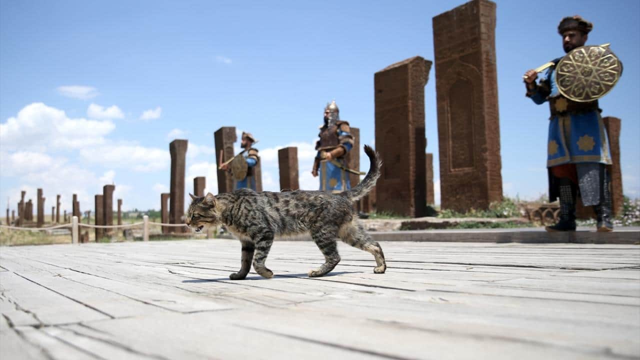 Foto - Türklerin Anadolu'ya giriş kapısı! Ahlat'a ziyaretçi akını 