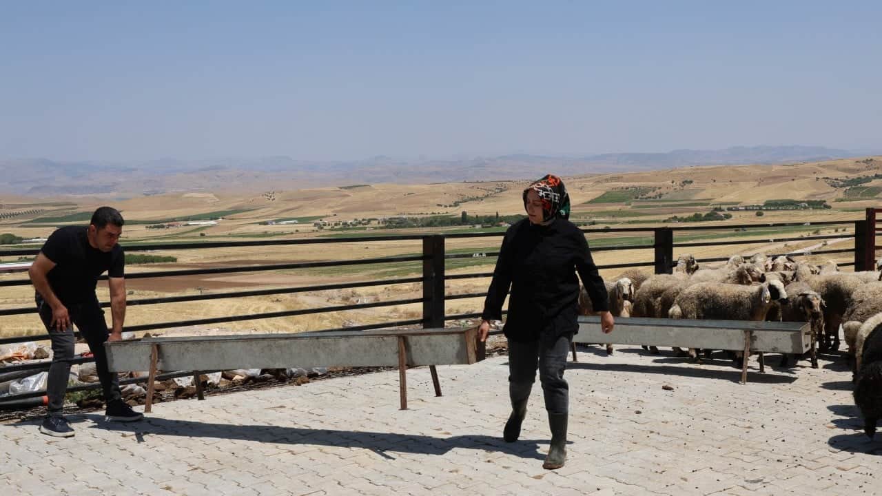 Foto - Üç çocuk annesi kadın devlet desteğiyle neler yaptı neler