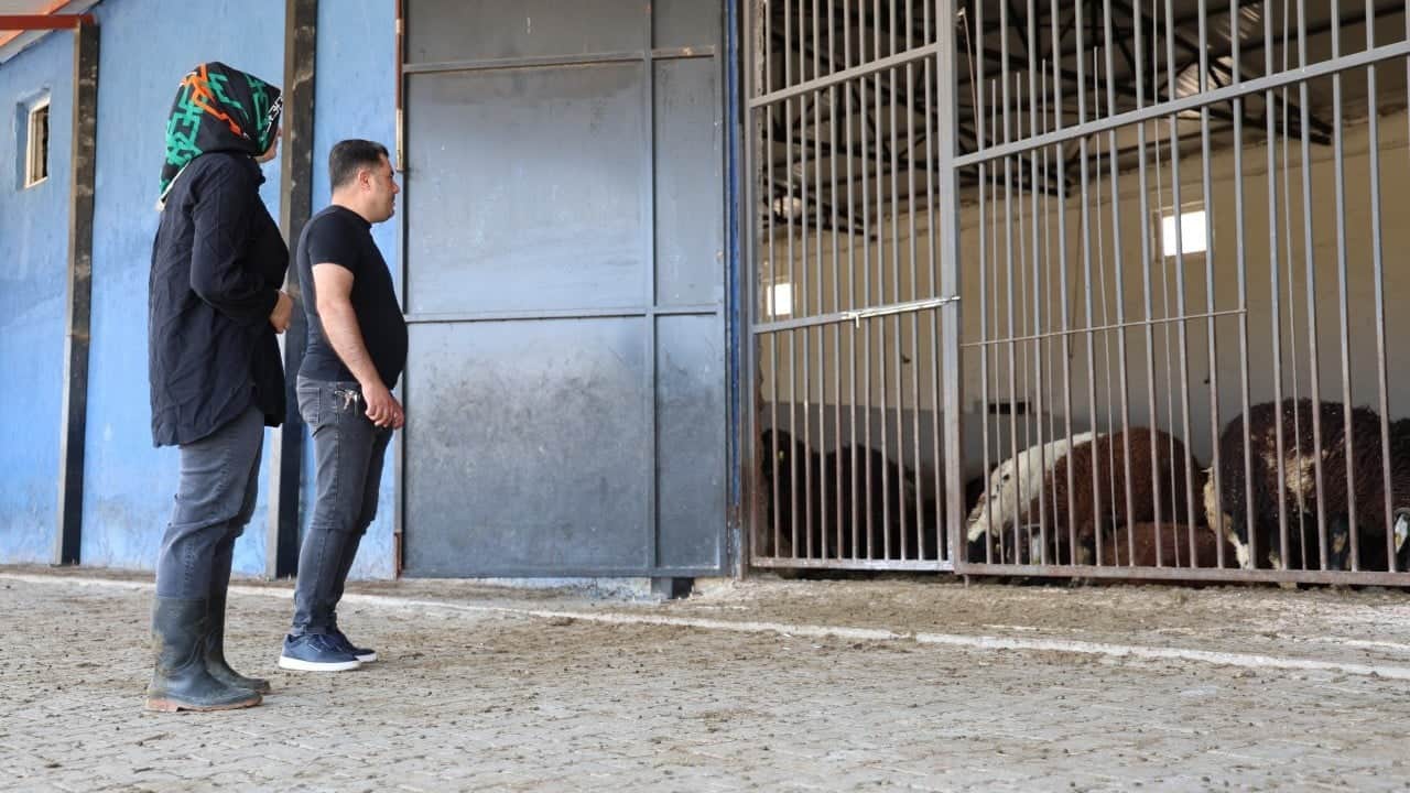 Foto - Üç çocuk annesi kadın devlet desteğiyle neler yaptı neler