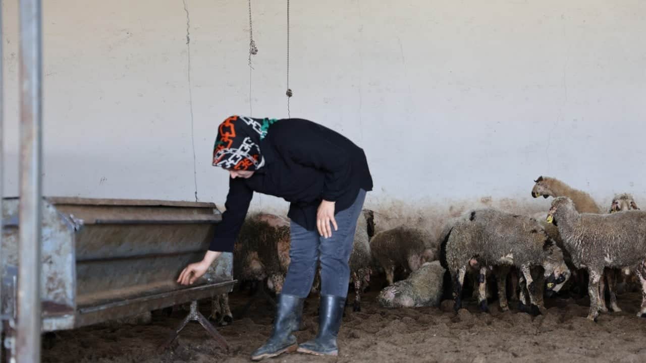 Foto - Üç çocuk annesi kadın devlet desteğiyle neler yaptı neler