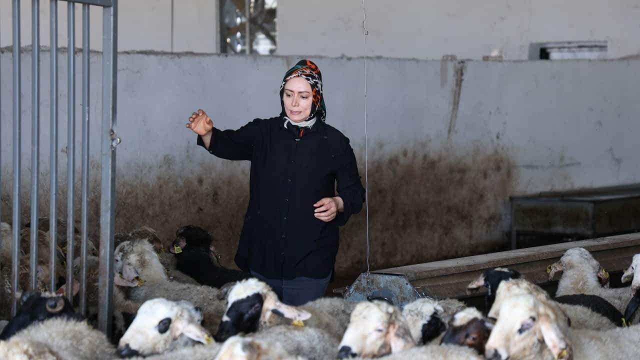 Foto - Üç çocuk annesi kadın devlet desteğiyle neler yaptı neler