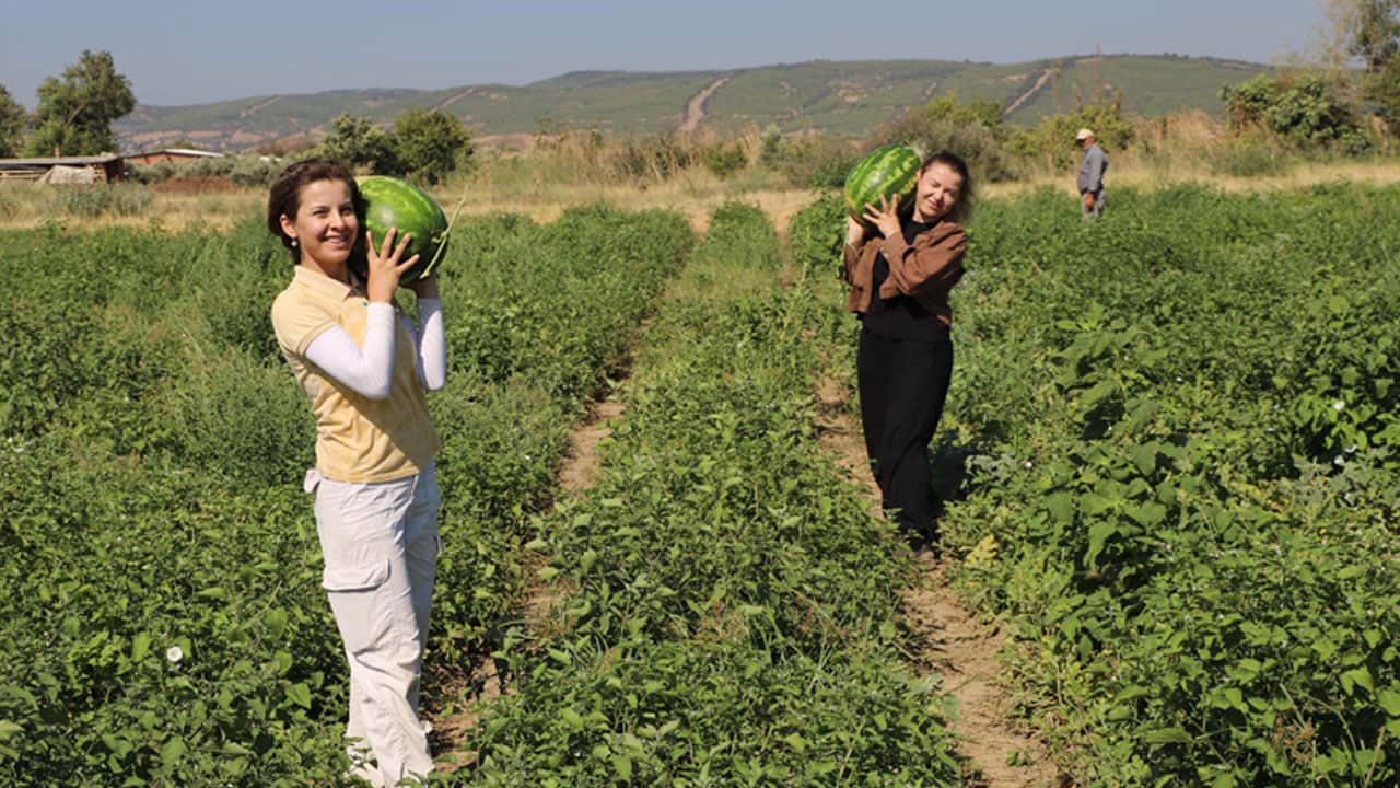 Foto - ‘Üniversite okudum ne işim var köyde’ demediler! Diplomalı kız kardeşler masabaşı çalışan yerine hanımağa olmayı seçti