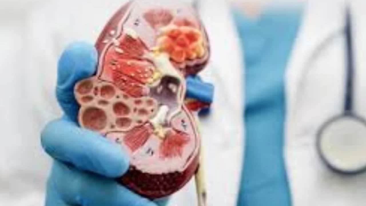 Uzman isim tek tek açıkladı: Yaz aylarında böbrek sağlığını korumak için sıvı tüketimine dikkat