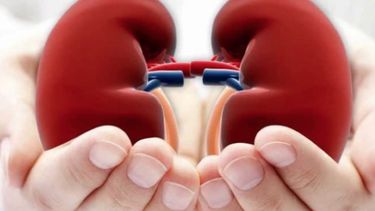 Foto - Uzman isim tek tek açıkladı: Yaz aylarında böbrek sağlığını korumak için sıvı tüketimine dikkat