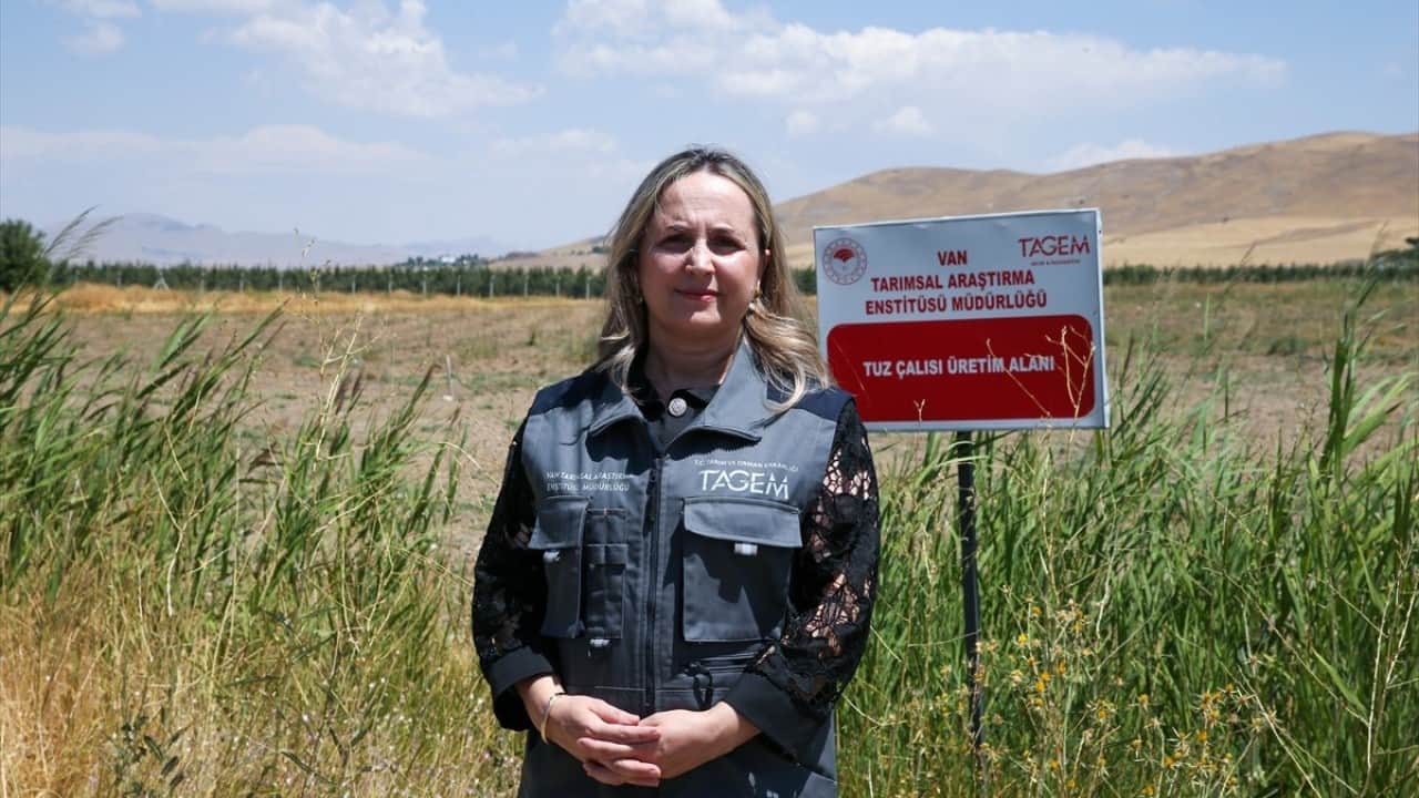 Foto - Van’ın umudu ‘Tuz çalısı’