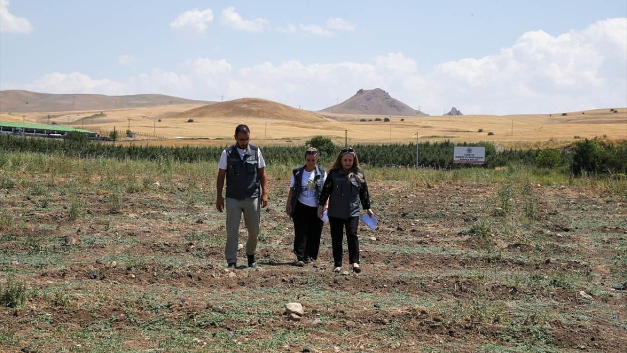 Foto - Van’ın umudu ‘Tuz çalısı’