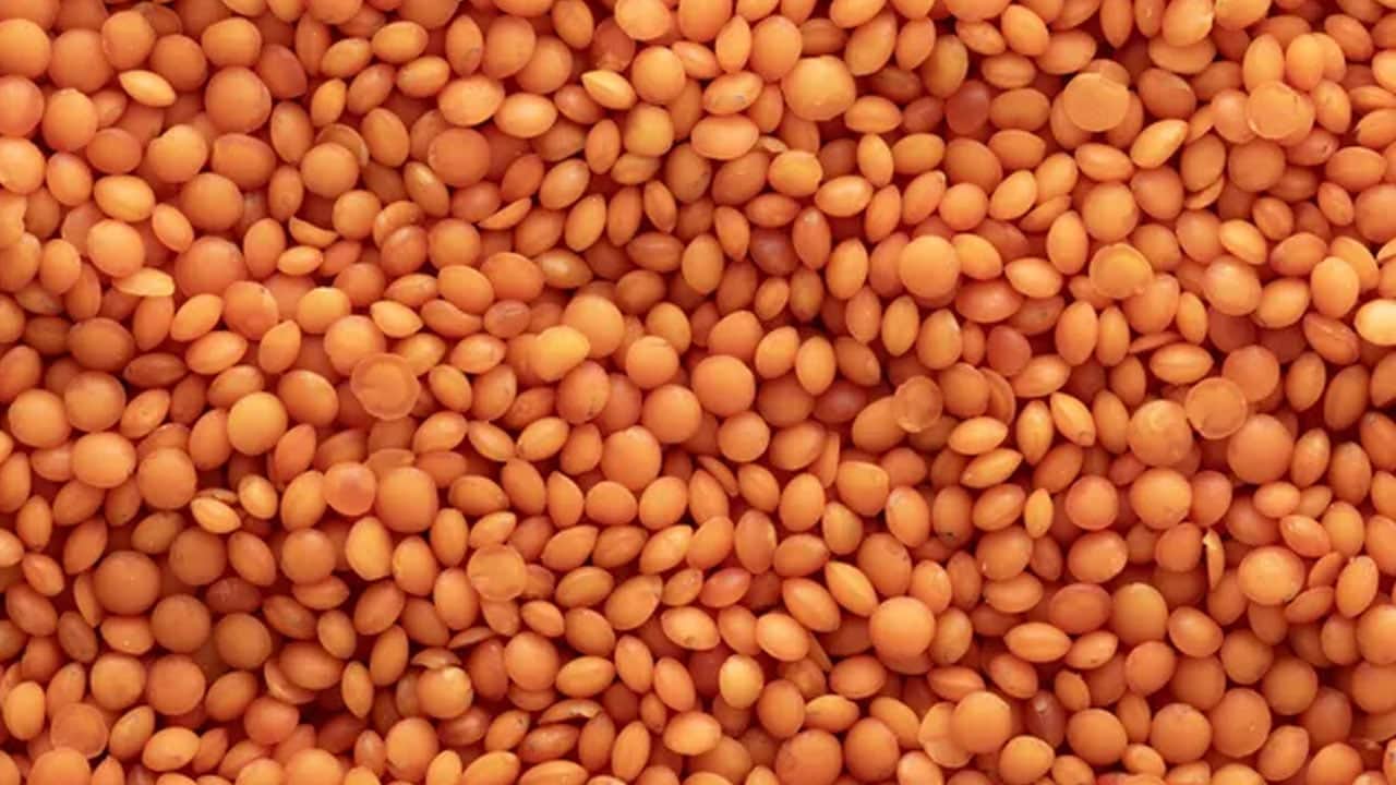 Foto - Yaban mersini beyaz saçlar için çözüm: Her gün 1 tane tüketin! Onlar masum görünüyor ama kanser riski yüksek 